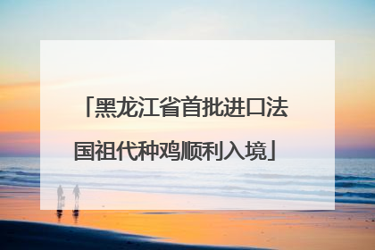 黑龙江省首批进口法国祖代种鸡顺利入境