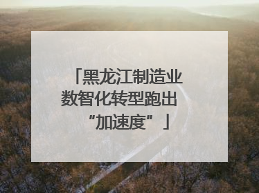 黑龙江制造业数智化转型跑出“加速度”