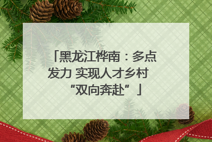 黑龙江桦南：多点发力 实现人才乡村“双向奔赴”