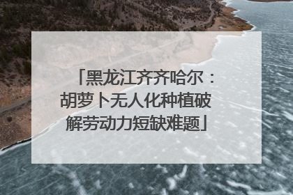 黑龙江齐齐哈尔：胡萝卜无人化种植破解劳动力短缺难题