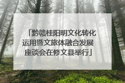 黔赣桂阳明文化转化运用暨文旅体融合发展座谈会在修文县举行