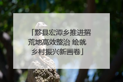 黟县宏潭乡推进撂荒地高效整治 绘就乡村振兴新画卷