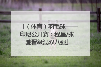 （体育）羽毛球——印尼公开赛：程星/张驰晋级混双八强