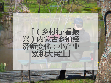 （乡村行·看振兴）内蒙古乡镇经济新变化：小产业累积大民生