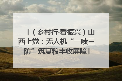 （乡村行·看振兴）山西上党：无人机“一喷三防”筑夏粮丰收屏障