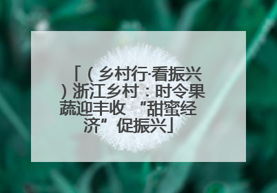 （乡村行·看振兴）浙江乡村：时令果蔬迎丰收 “甜蜜经济”促振兴