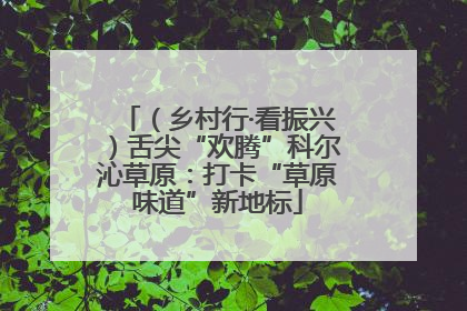 （乡村行·看振兴）舌尖“欢腾”科尔沁草原：打卡“草原味道”新地标