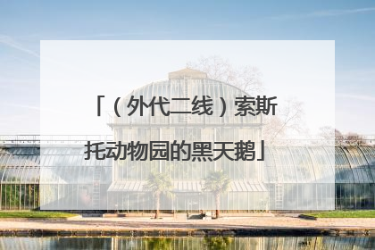 （外代二线）索斯托动物园的黑天鹅