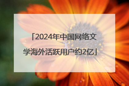 2024年中国网络文学海外活跃用户约2亿