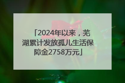 2024年以来，芜湖累计发放孤儿生活保障金2758万元