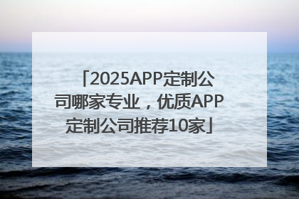 2025APP定制公司哪家专业，优质APP定制公司推荐10家