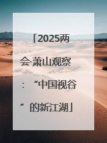 2025两会·萧山观察：“中国视谷”的新江湖