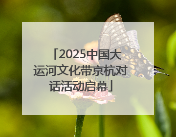 2025中国大运河文化带京杭对话活动启幕