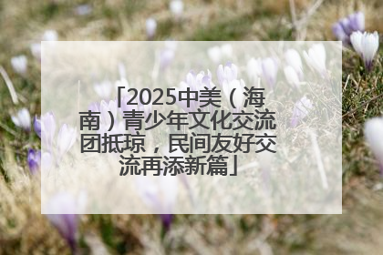 2025中美（海南）青少年文化交流团抵琼，民间友好交流再添新篇
