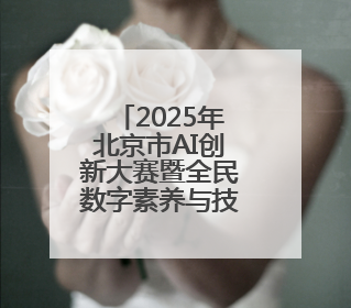 2025年北京市AI创新大赛暨全民数字素养与技能提升月全面启动