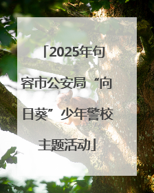 2025年句容市公安局“向日葵”少年警校主题活动