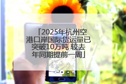 2025年杭州空港口岸国际货运量已突破10万吨 较去年同期提前一周