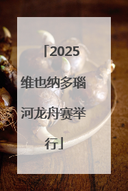 2025维也纳多瑙河龙舟赛举行