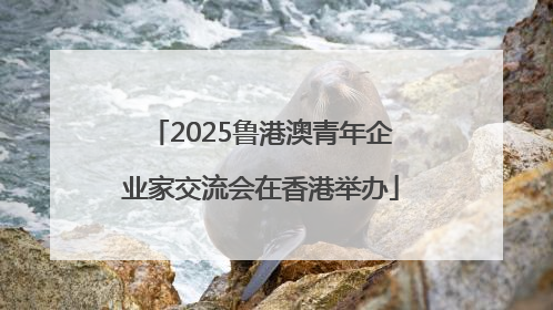 2025鲁港澳青年企业家交流会在香港举办
