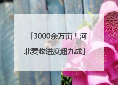 3000余万亩！河北麦收进度超九成