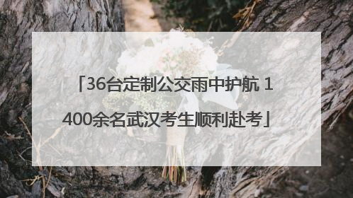 36台定制公交雨中护航 1400余名武汉考生顺利赴考