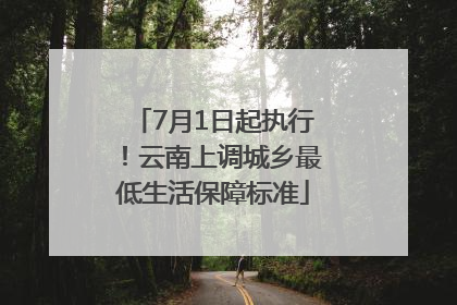 7月1日起执行！云南上调城乡最低生活保障标准