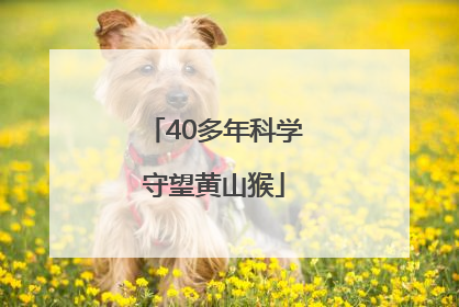 40多年科学守望黄山猴