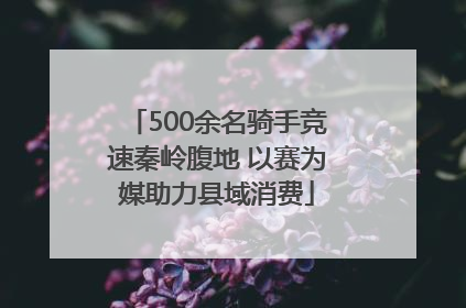 500余名骑手竞速秦岭腹地 以赛为媒助力县域消费