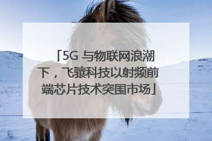5G 与物联网浪潮下，飞骧科技以射频前端芯片技术突围市场