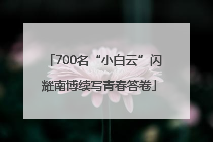 700名“小白云”闪耀南博续写青春答卷