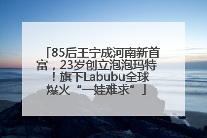 85后王宁成河南新首富，23岁创立泡泡玛特！旗下Labubu全球爆火“一娃难求”