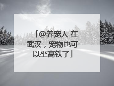 @养宠人 在武汉，宠物也可以坐高铁了