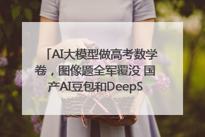 AI大模型做高考数学卷，图像题全军覆没 国产AI豆包和DeepSeek均得分144