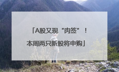 A股又现“肉签”！本周两只新股将申购